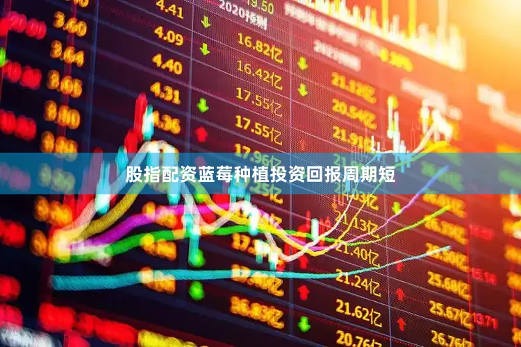 股指配资蓝莓种植投资回报周期短